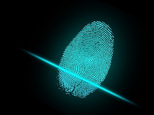 Survey Shows Identity Theft Is Common For Americans